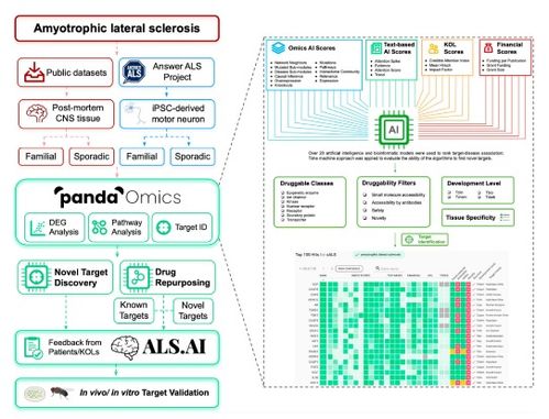 智能融合與基礎(chǔ)創(chuàng)新 人工智能與電工電子技術(shù)的協(xié)同發(fā)展之路